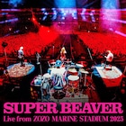 SUPER BEAVERのZOZOマリンスタジアム公演、映像に続き音源もリリース決定