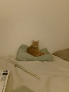 フルートや音楽機材と一緒に。