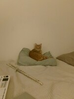 フルートや音楽機材と一緒に。