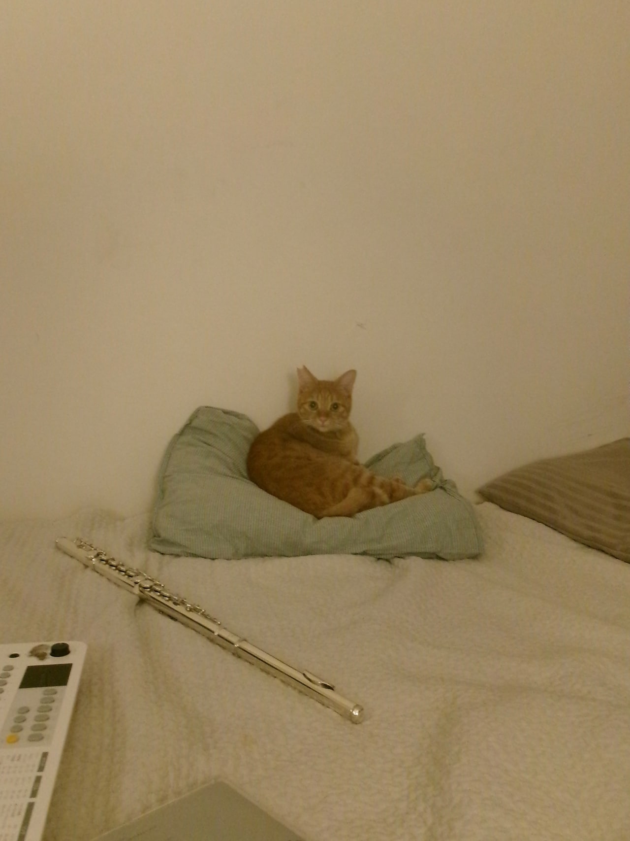 フルートや音楽機材と一緒に。