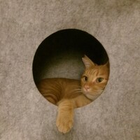 どこを見ているの？