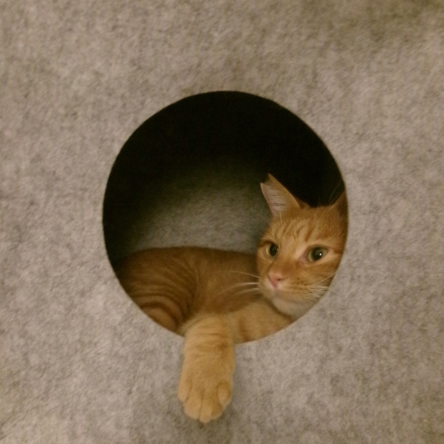 どこを見ているの？