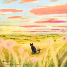 Aimer「Little Bouquet / Pastoral」通常盤ジャケット