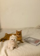 カメラ目線もバッチリ。