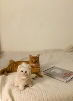 カメラ目線もバッチリ。