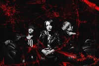 シンガーズハイ