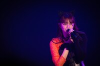 AMEFURASSHIのライブより。