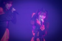 AMEFURASSHIのライブより。