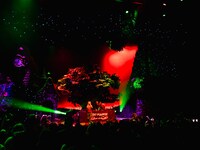 7のライブより。