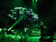 5Leafのライブより。