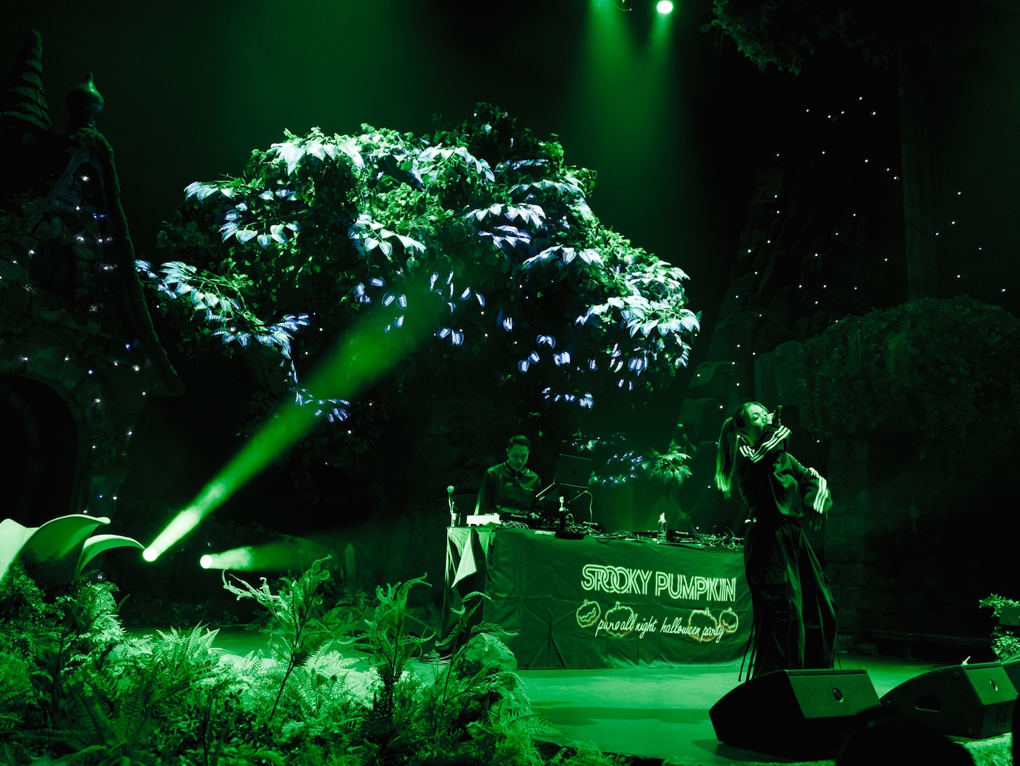 5Leafのライブより。