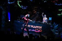 Charluのライブより。