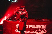 Cuegeeのライブより。