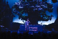 Nenashiのライブより。