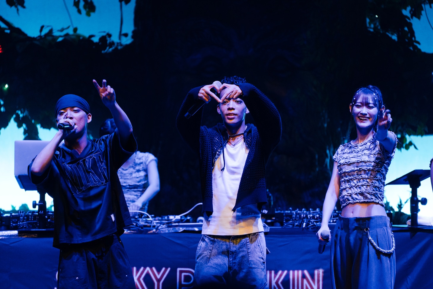 lyrical schoolのライブより。