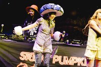 pinponpanponのライブより。