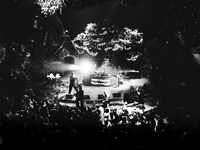 STARKIDSのライブより。