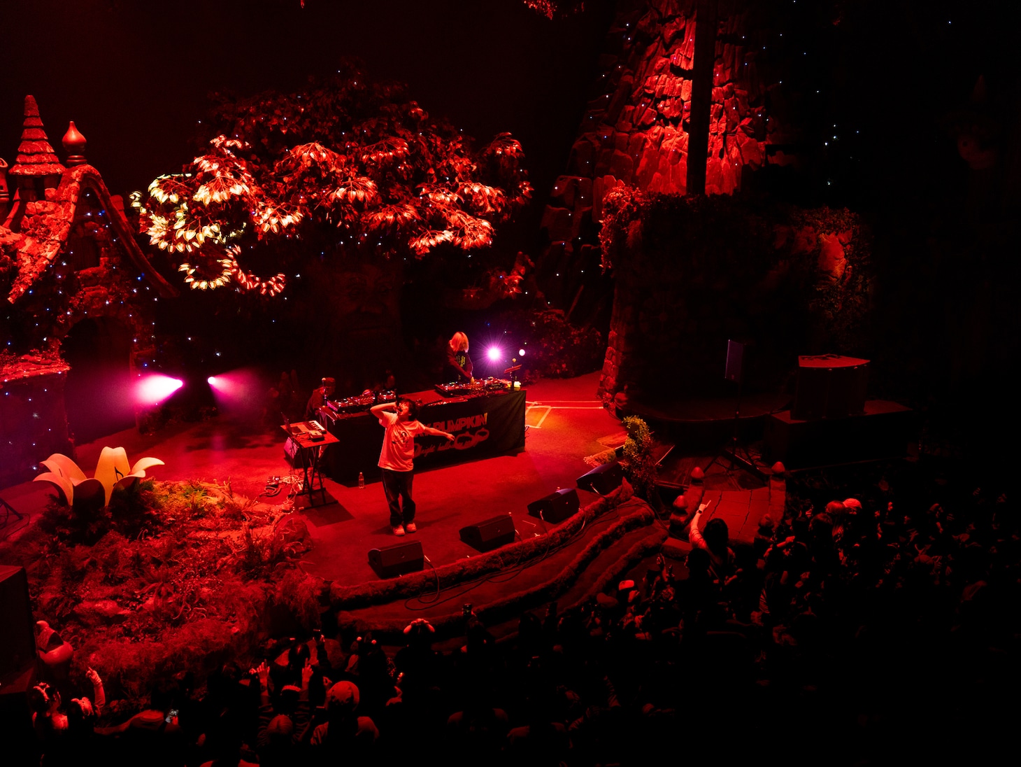 lilbesh ramkoのライブより。