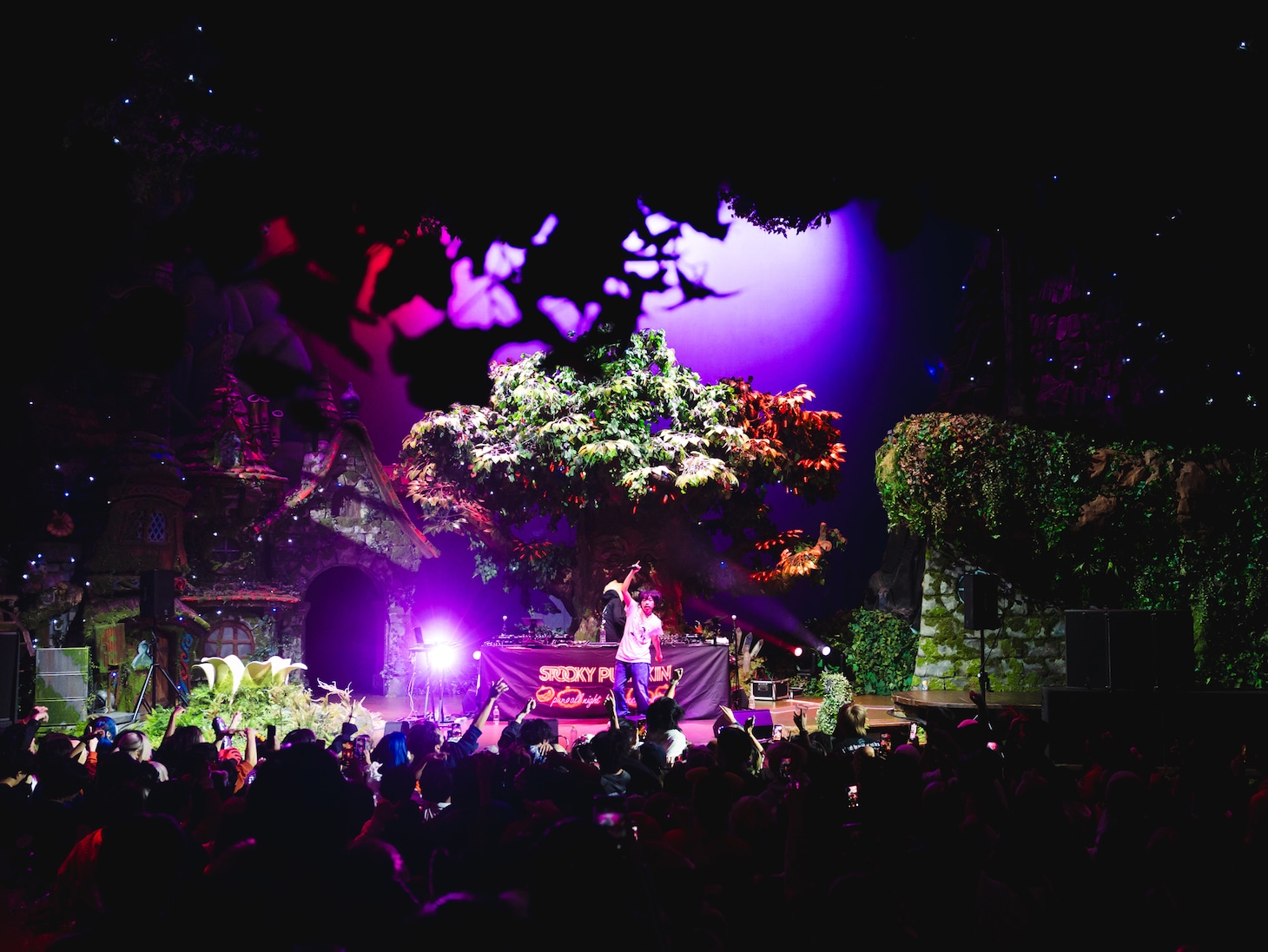 lilbesh ramkoのライブより。