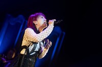 「Yuki Kajiura LIVE vol.#21 ～60 Songs～」の様子。