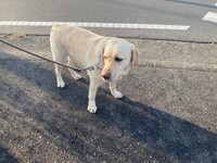 ゆーきゃんのアーティスト写真。