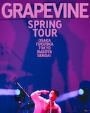GRAPEVINE「GRAPEVINE SPRING TOUR」ビジュアル