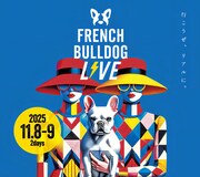 「French Bulldog LIVE▽2025（フレブルLIVE）」キービジュアル