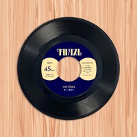 mei ehara「悲しい運転手 / 風景が」7inchアナログイメージ