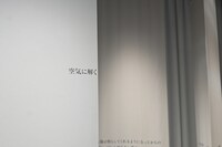 乃木坂46池田瑛紗のブログがアート作品に、初個展「Wings:あひるの夢」に行ってきた