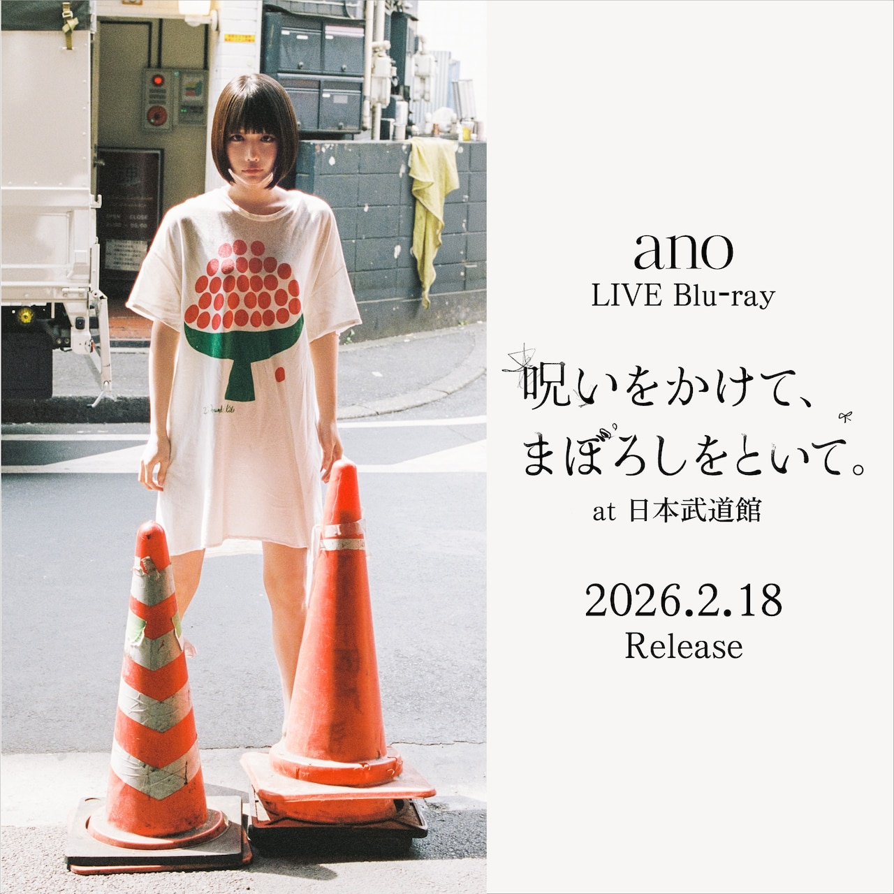 anoの初武道館ライブが映像化、ドキュメンタリーやインタビューも追加