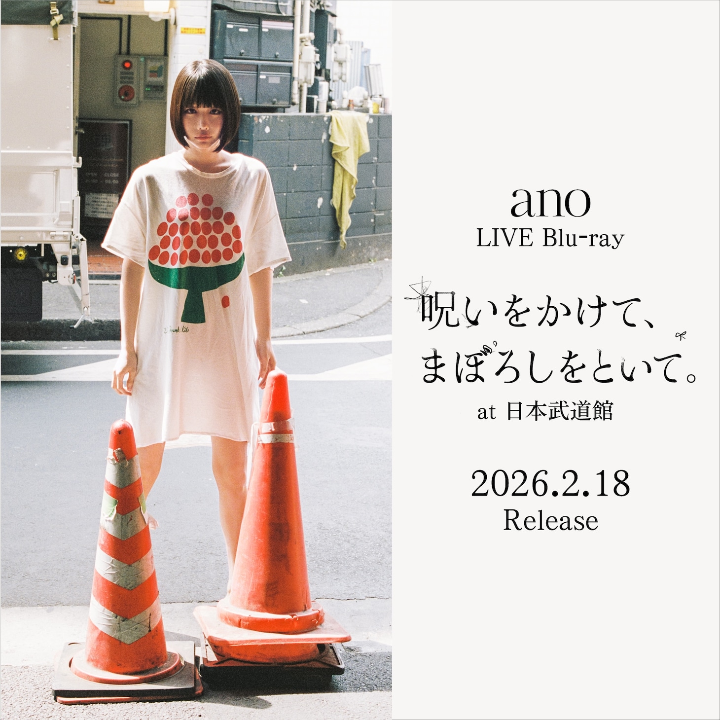 ano「『呪いをかけて、まぼろしをといて。』at 日本武道館」告知ビジュアル