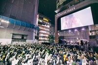 「a flood of circle「I'M FREE 2025 LIVE AT 新宿歌舞伎町野外音楽堂」の様子。（撮影：新保勇樹）