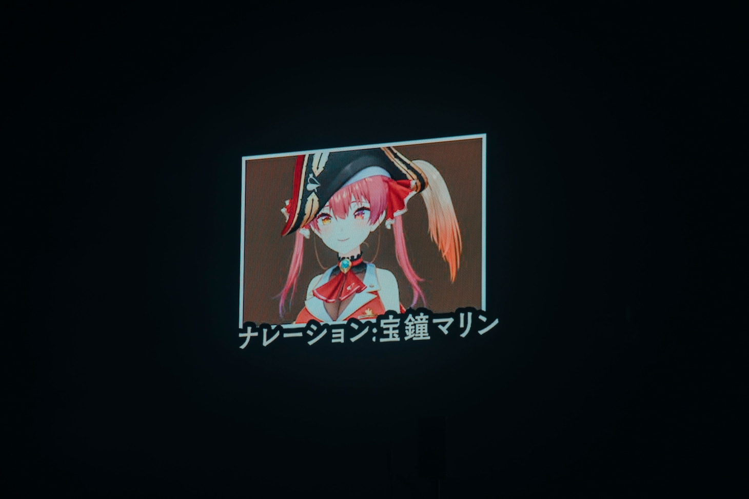 ライブでナレーションを務めた宝鐘マリン。（撮影：横山マサト）