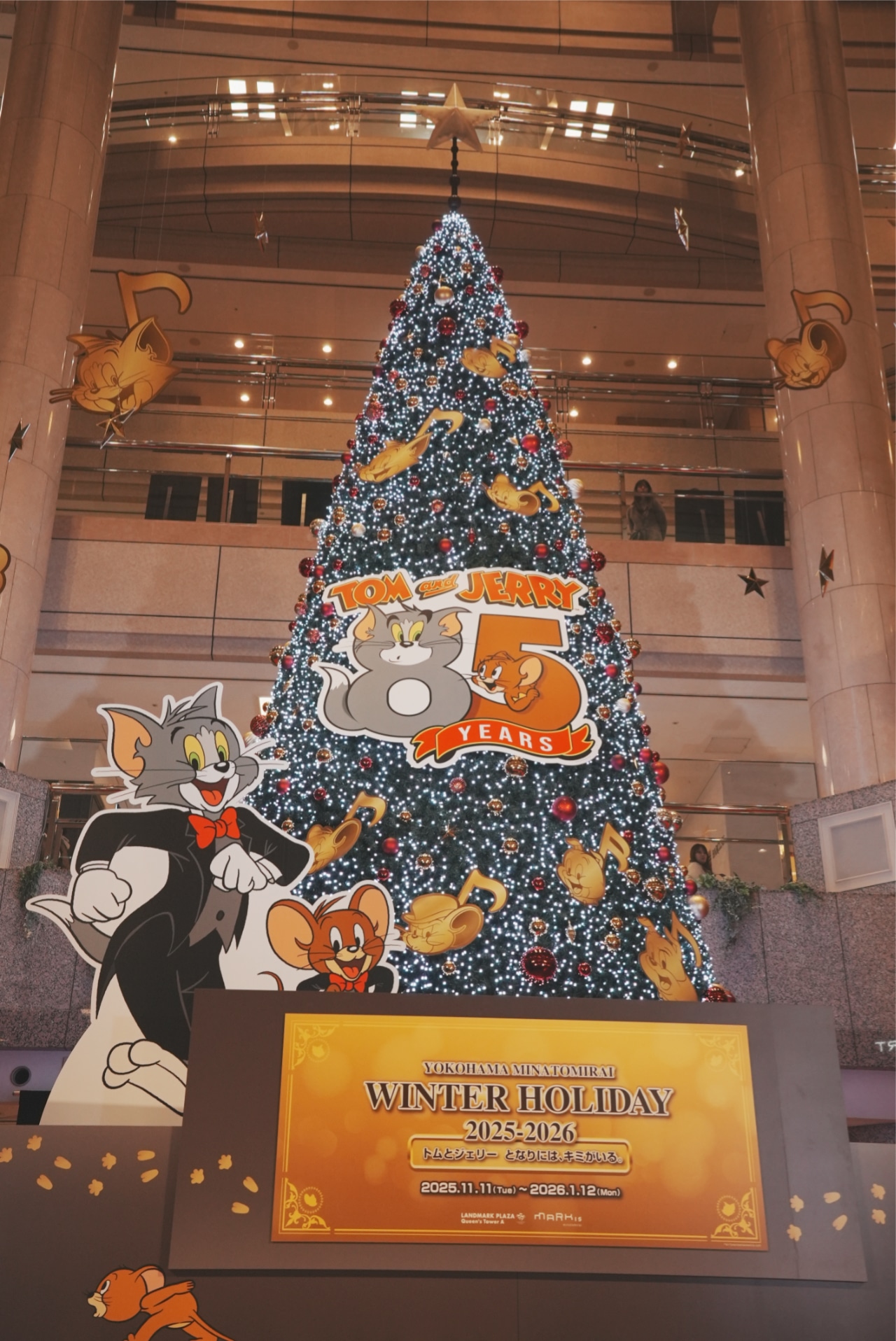 点灯したツリー。