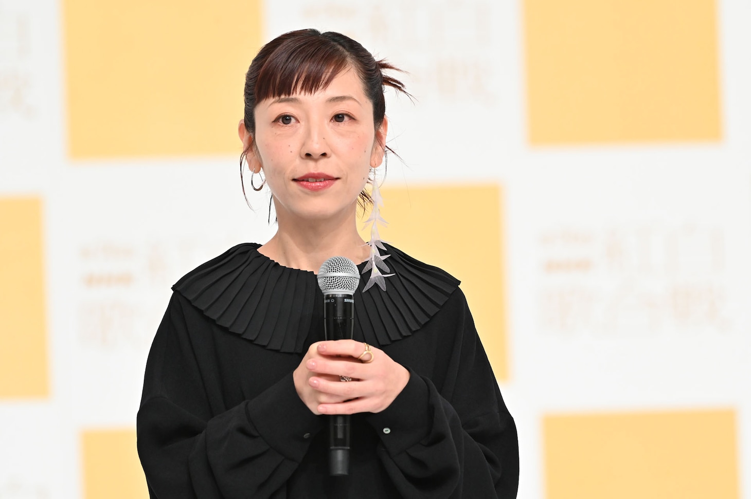 佐野遊穂（Vo, Harmonica / ハンバート ハンバート）