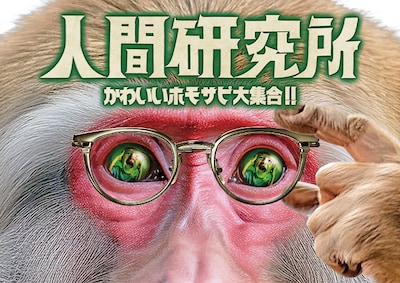 「人間研究所 ～かわいいホモサピ大集合!!～」キービジュアル