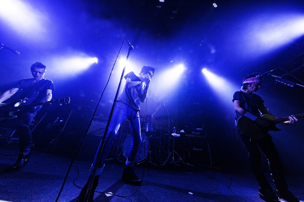 全国ツアー「ザ・クロマニヨンズ ツアー JAMBO JAPAN 2025-2026」初日公演の様子。（撮影：柴田恵理）