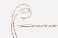 「ゴスペラーズ 30周年記念オリジナルイヤホン」商品画像