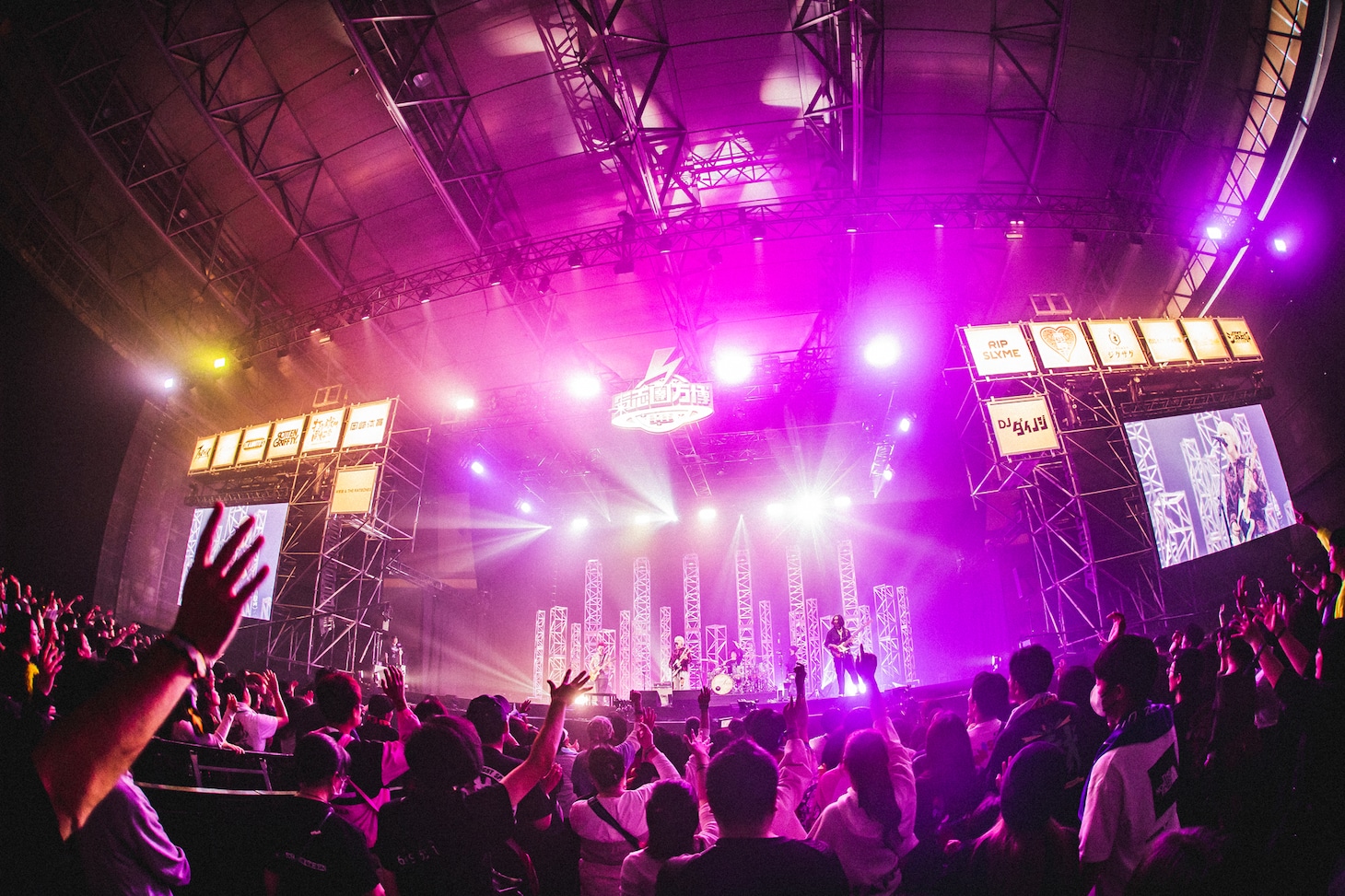 ヤングスキニー（撮影：青木カズロー）