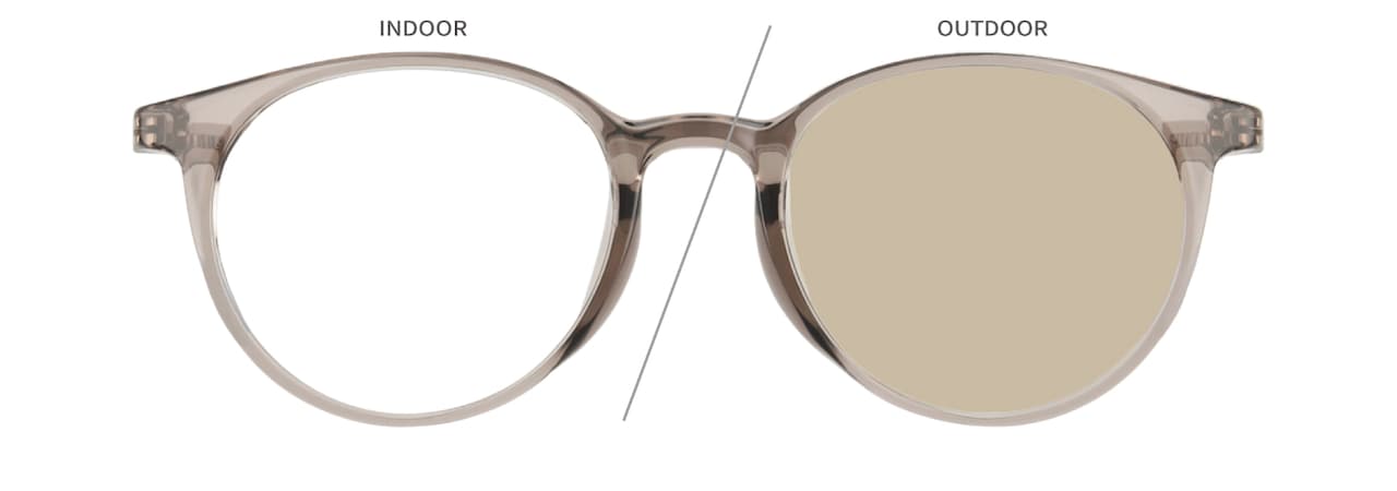 Zoff サンカットグラス(ユニセックス) Zoff サンカットグラス 目黒蓮