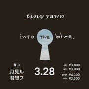「tiny yawn pre.『into the blue.』」ビジュアル