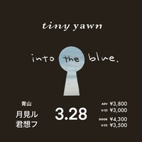 「tiny yawn pre.『into the blue.』」ビジュアル