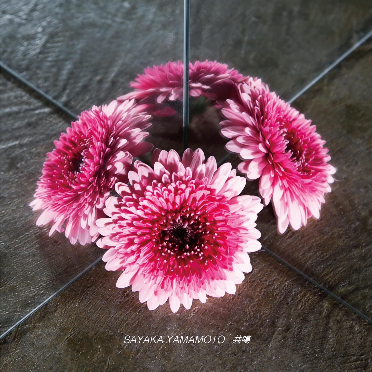 山本彩「共鳴」配信ジャケット