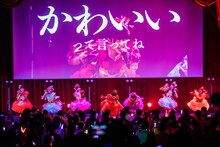 「HAPPY CREATORS 1st Anniversary Live -はっぴー創造記念日！-」の様子。