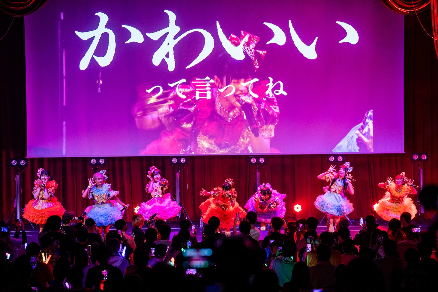 「HAPPY CREATORS 1st Anniversary Live -はっぴー創造記念日！-」の様子。