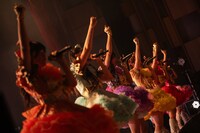 「HAPPY CREATORS 1st Anniversary Live -はっぴー創造記念日！-」の様子。