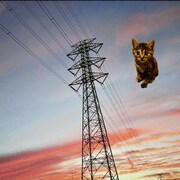 DJ後藤まりこ「えんじぇるん」配信ジャケット