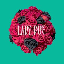 ナナホシ管弦楽団「LADY BUG」配信ジャケット