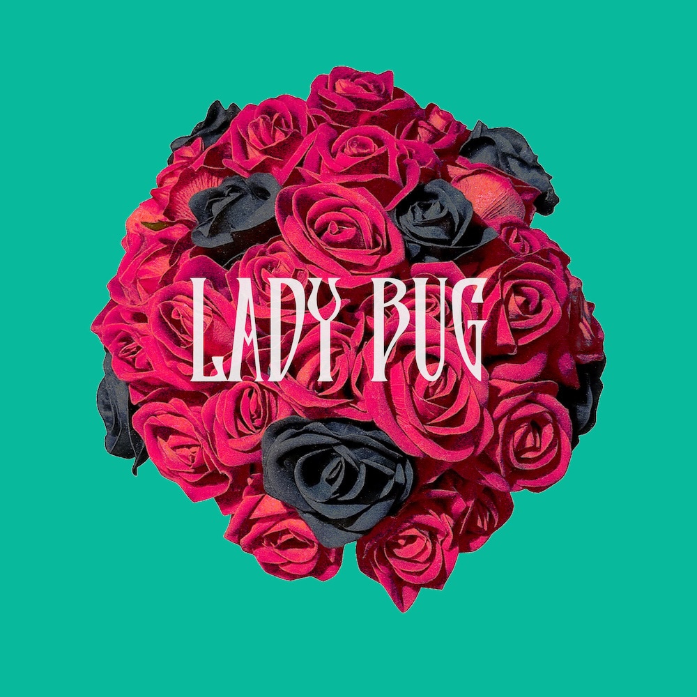 ナナホシ管弦楽団「LADY BUG」配信ジャケット