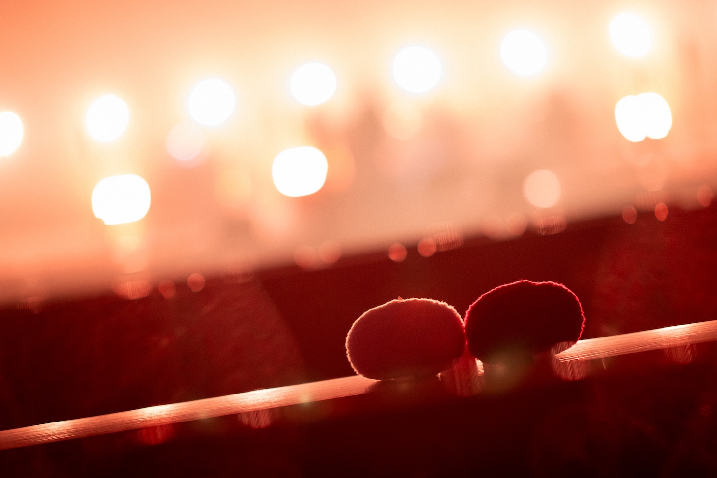 ステージを見つめるほろ酔いのともだちとともだち。（Photo by Masami Kikuchi）